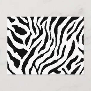 Zebrastrepen Ansichtkaart Briefkaart