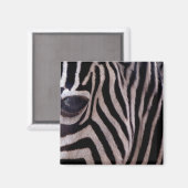 Zebrastrepen Magneet (Voorkant / Achterkant)