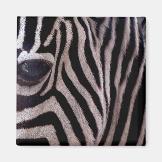 Zebrastrepen Magneet (Voorkant)