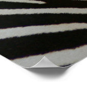 Zebrastripes 1 poster (Hoek)