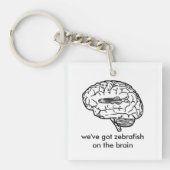 zebravis op de sleutelhanger van de hersenen (voorkant)