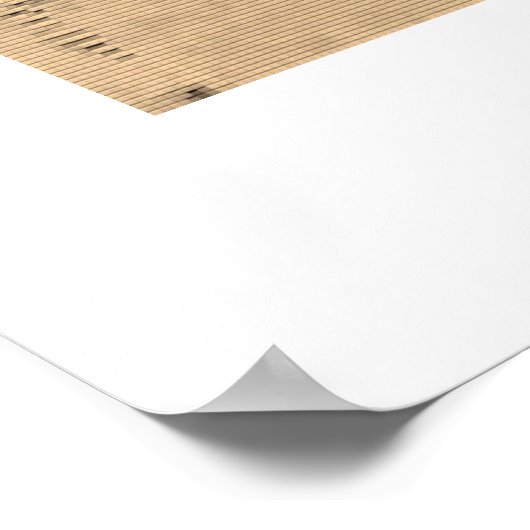 Zebrix Poster (Hoek)