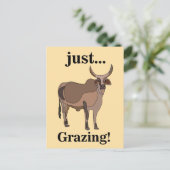 Zebu Rundvee Koe Dier Briefkaart (Staand voorkant)
