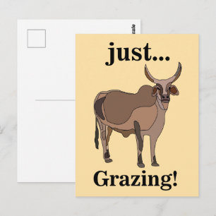 Zebu Rundvee Koe Dier Briefkaart