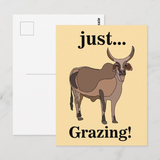 Zebu Rundvee Koe Dier Briefkaart (Voorkant / Achterkant)