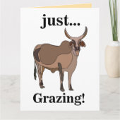Zebu Rundvee Koe Dier Kaart (Voorkant)