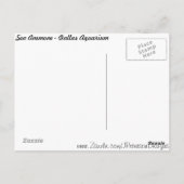 Zee Anemone # 1 Briefkaart (Achterkant)