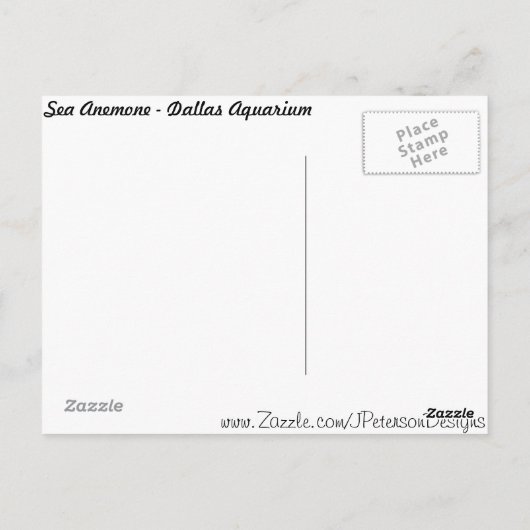 Zee Anemone # 1 Briefkaart (Achterkant)