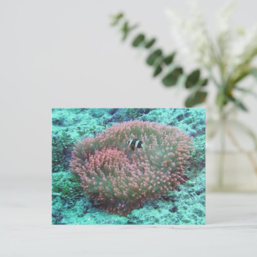 Zee Anemone Briefkaart (Staand voorkant)