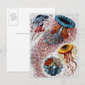 Zee Anemone Briefkaart (Voorkant / Achterkant)