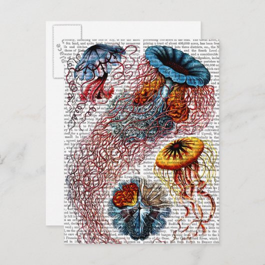 Zee Anemone Briefkaart (Voorkant / Achterkant)