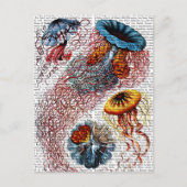 Zee Anemone Briefkaart (Voorkant)