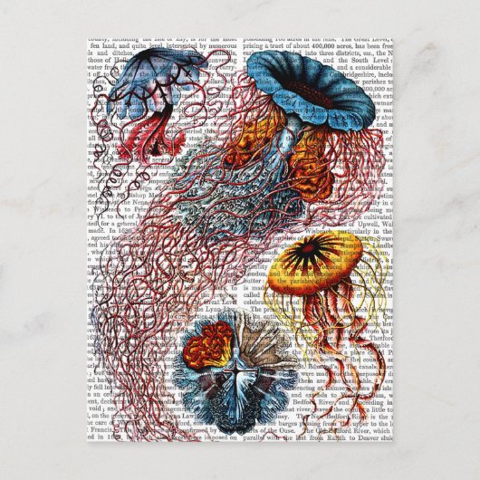 Zee Anemone Briefkaart (Voorkant)