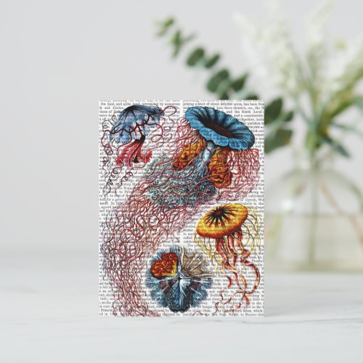 Zee Anemone Briefkaart (Staand voorkant)