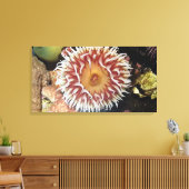 Zee Anemone Canvas Afdruk (Insitu (Woonkamer))