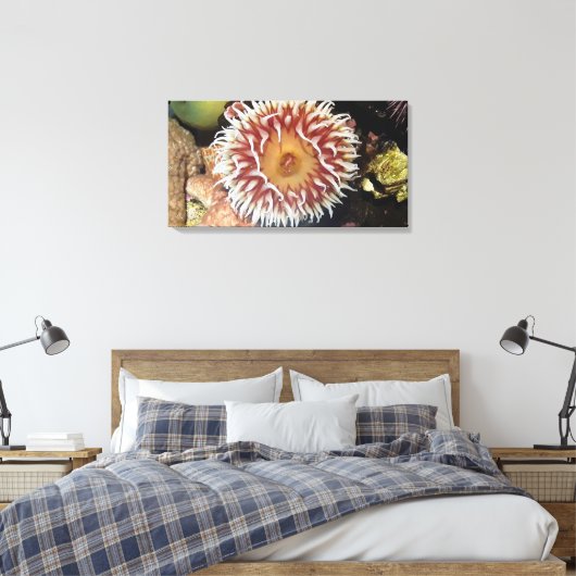 Zee Anemone Canvas Afdruk (Insitu (Slaapkamer))