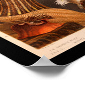 Zee Anemone Color Marine Life Print (Hoek)