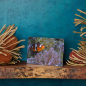 Zee Anemone Coral Natuur fotografie Fotoplaat (Zijkant)