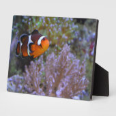 Zee Anemone Coral Natuur fotografie Fotoplaat (Zijkant)