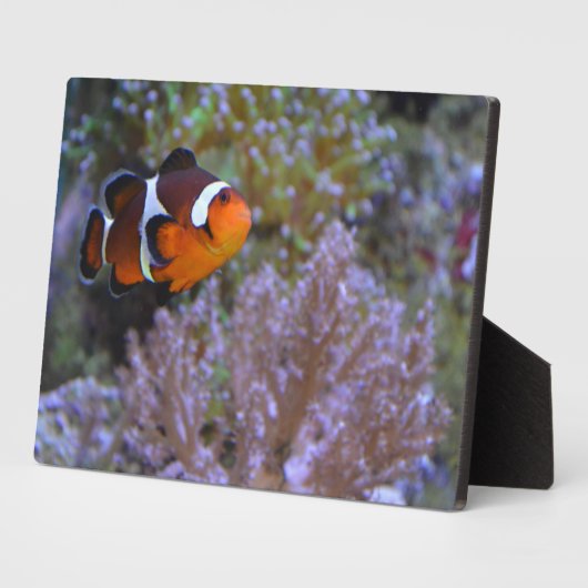 Zee Anemone Coral Natuur fotografie Fotoplaat (Zijkant)