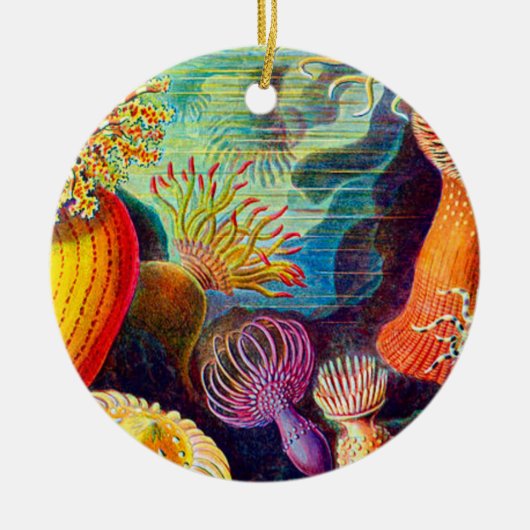 Zee Anemone - Ernst Haeckel Keramisch Ornament (Voorkant)