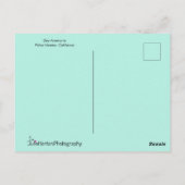 Zee Anemone in het water Briefkaart (Achterkant)