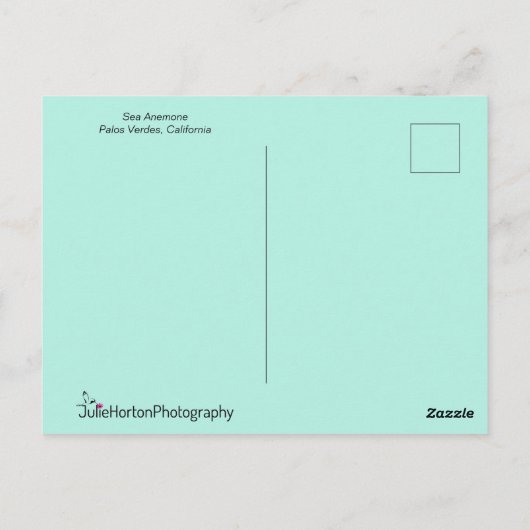 Zee Anemone in het water Briefkaart (Achterkant)