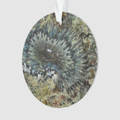 Zee Anemone-kerstversiering Ornament (voorkant)