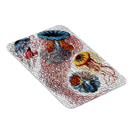 Zee Anemone Magneet (Rechterzijde)