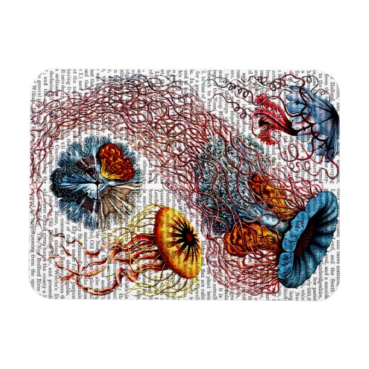 Zee Anemone Magneet (Horizontaal)