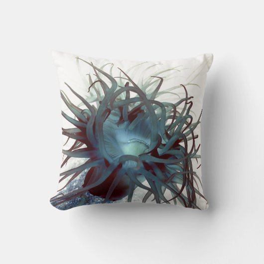 Zee anemone marine life - nauwing kussen (Voorkant)