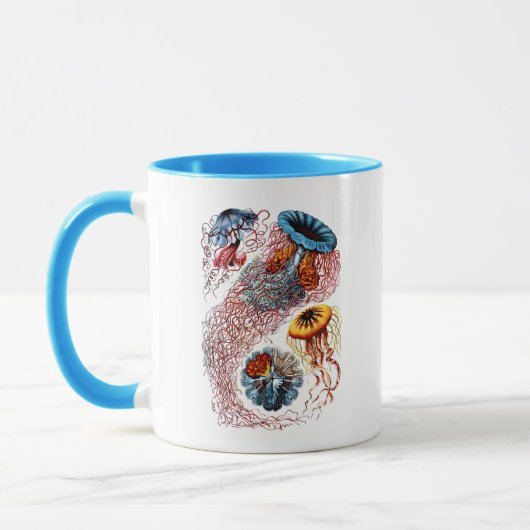 Zee Anemone Mok (Links)