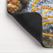 Zee Anemone on a Rock Muismat (Hoek)