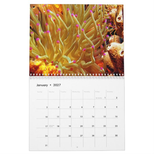 Zee Anemone Wall Agenda Kalender (Jan 2027)