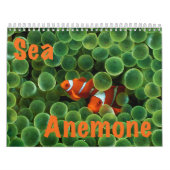 Zee Anemone Wall Agenda Kalender (Hoes)