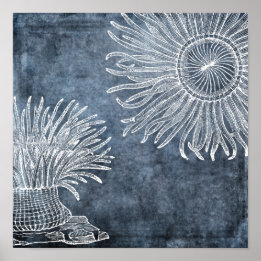 Zee Anemone Waterverf Twilight Ocean Blue White Poster