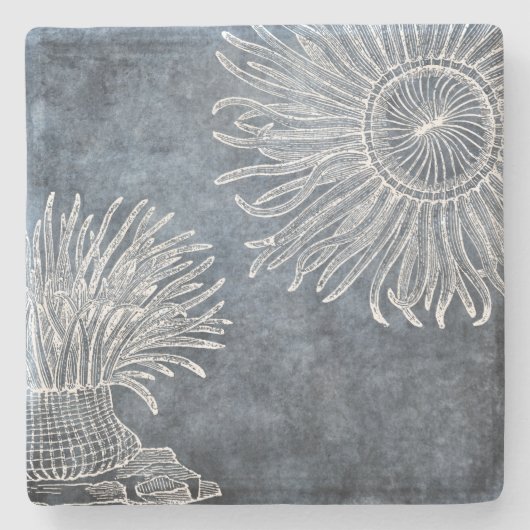 Zee Anemone Waterverf Twilight Ocean Blue White Stenen Onderzetter (Voorkant)