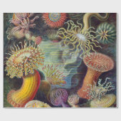 Zee Anemone Wetenschappelijke Natuur Oceaan Cadeaupapier (Vlak)