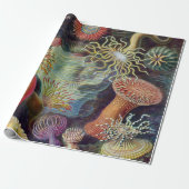 Zee Anemone Wetenschappelijke Natuur Oceaan Cadeaupapier (Uitgerold)