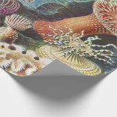 Zee Anemone Wetenschappelijke Natuur Oceaan Cadeaupapier (Hoek)