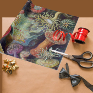Zee Anemone Wetenschappelijke Natuur Oceaan Cadeaupapier
