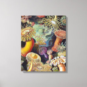 Zee Anemone Wetenschappelijke Natuur Oceaan Canvas Afdruk