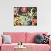 Zee Anemone Wetenschappelijke Natuur Oceaan Canvas Afdruk (Insitu (Woonkamer))