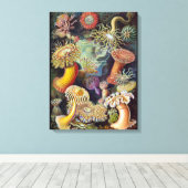 Zee Anemone Wetenschappelijke Natuur Oceaan Canvas Afdruk (Insitu (Houten vloer))