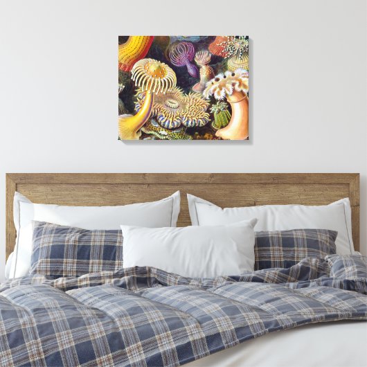 Zee Anemone Wetenschappelijke Natuur Oceaan Canvas Afdruk (Insitu (Slaapkamer))