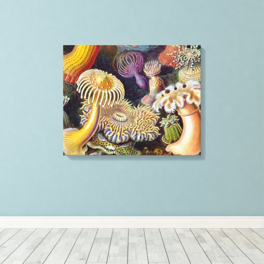 Zee Anemone Wetenschappelijke Natuur Oceaan Canvas Afdruk (Insitu (Houten vloer))