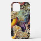 Zee Anemone Wetenschappelijke Natuur Oceaan Case-Mate iPhone Case (Achterkant)