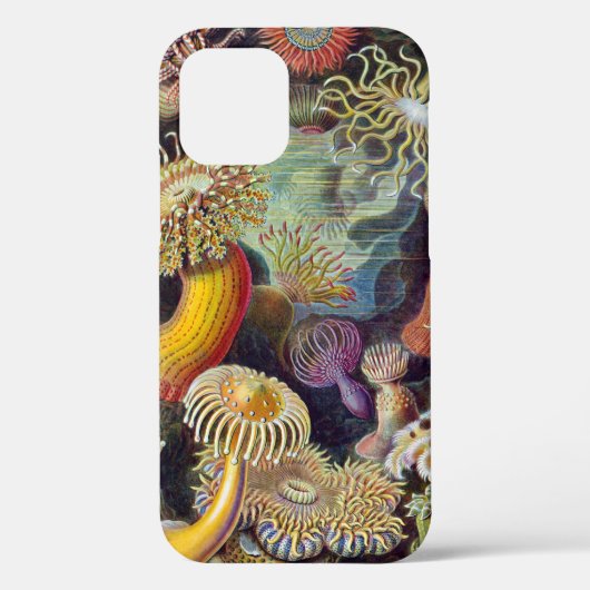 Zee Anemone Wetenschappelijke Natuur Oceaan Case-Mate iPhone Case (Achterkant)