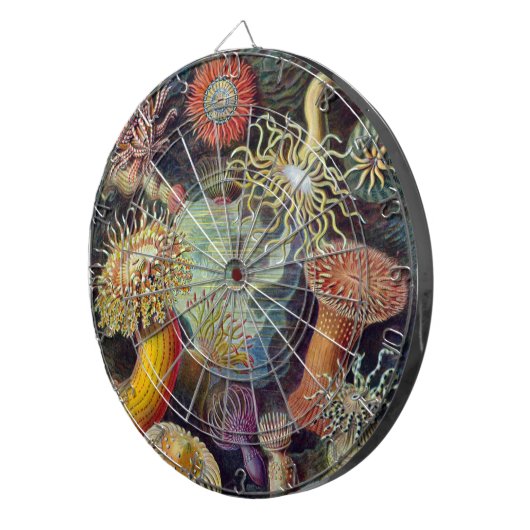 Zee Anemone Wetenschappelijke Natuur Oceaan Dartbord (Voorkant Rechts)