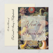 Zee Anemone Wetenschappelijke Natuur Oceaan Kaart (Voorkant / Achterkant)